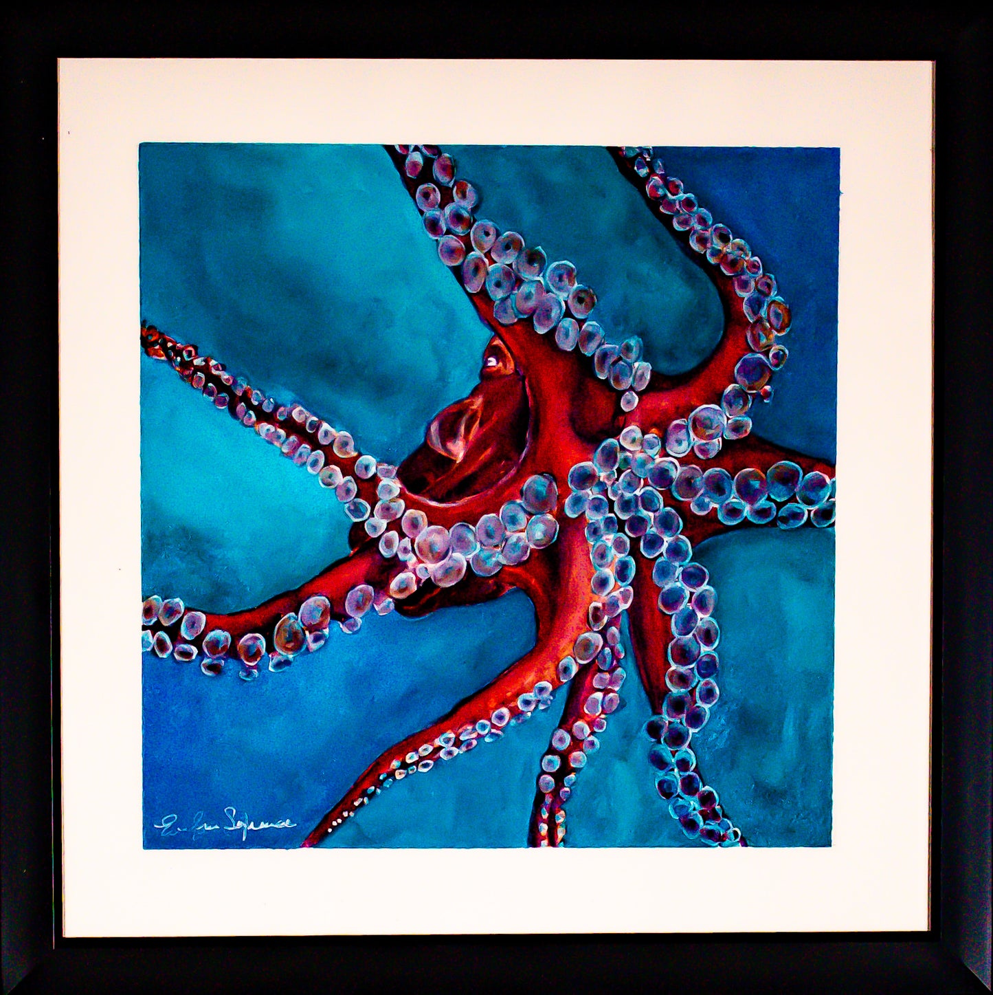 Chicago Cephalopod