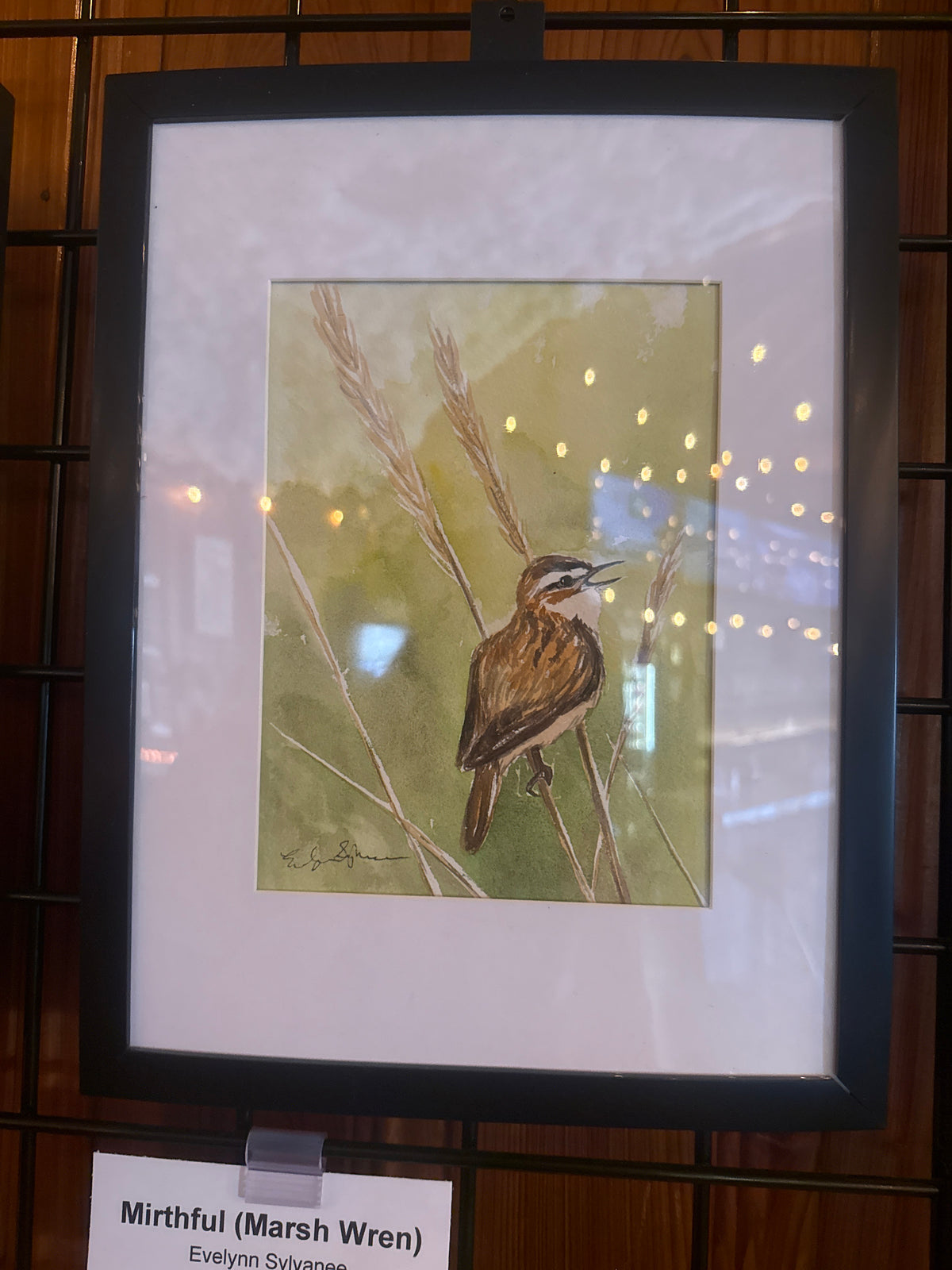Mirthful (Marsh Wren)