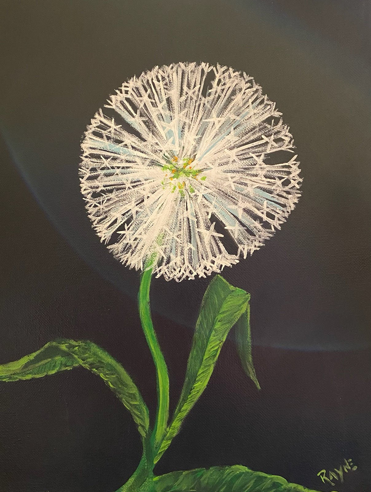 Just Dandy