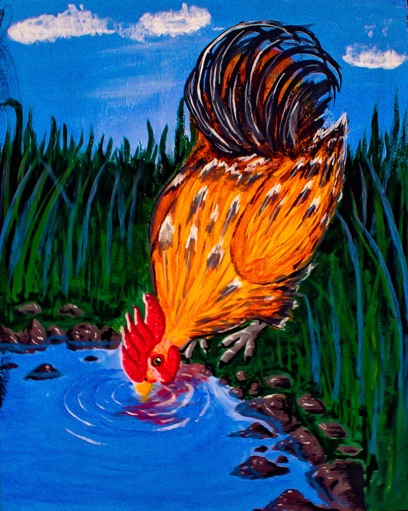 Thirsty Cock