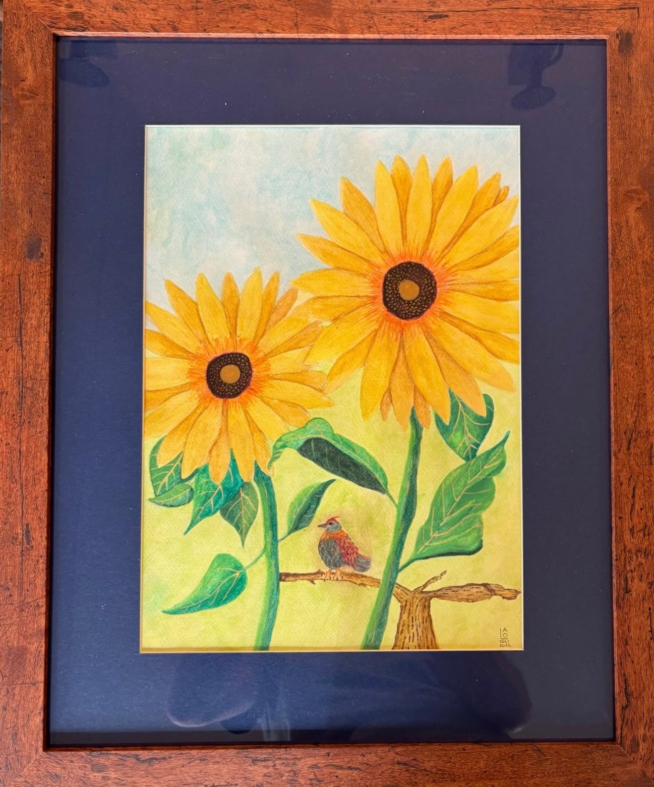 Turmeric Flowers