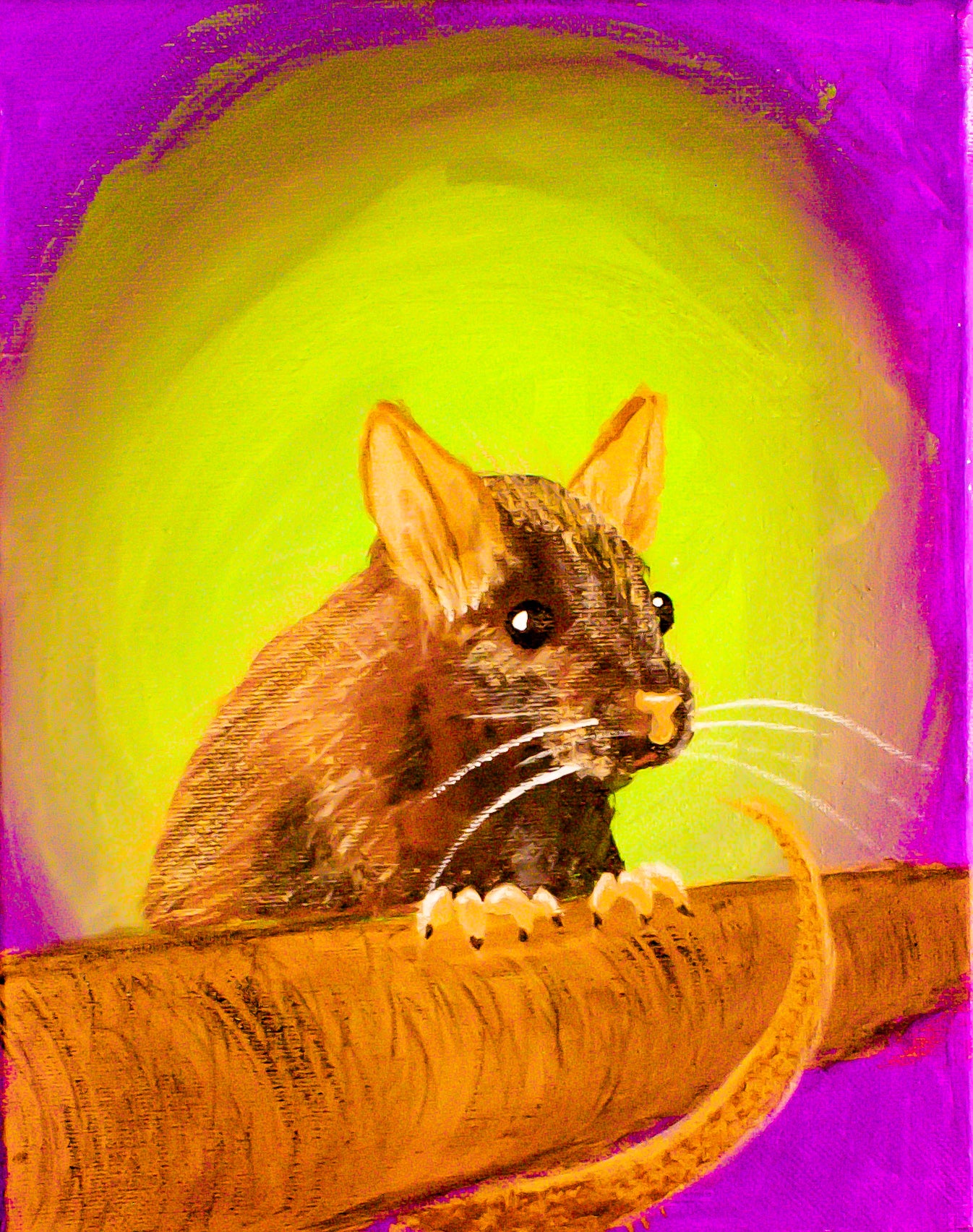 Rat Regret