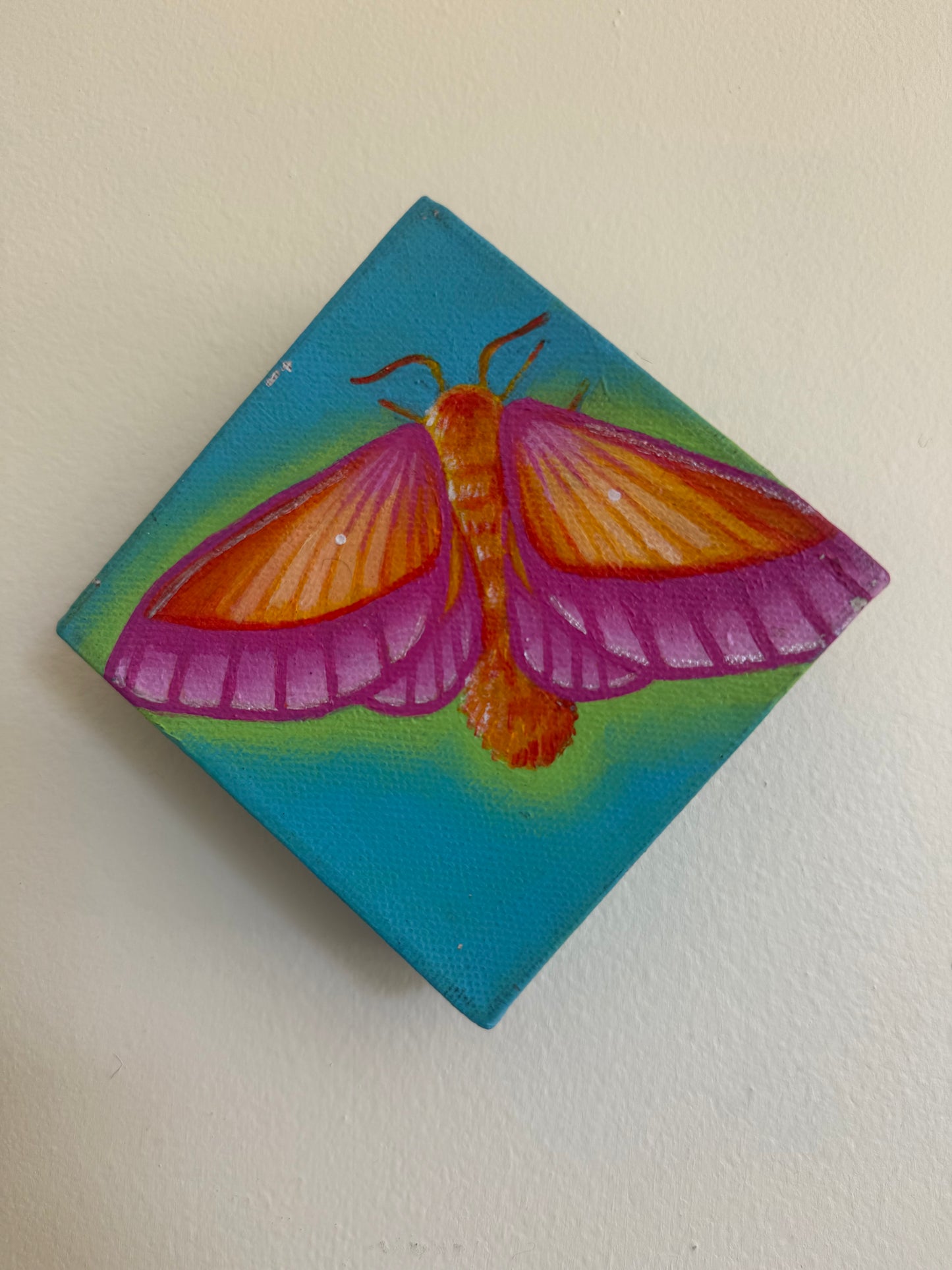 Mini Moth