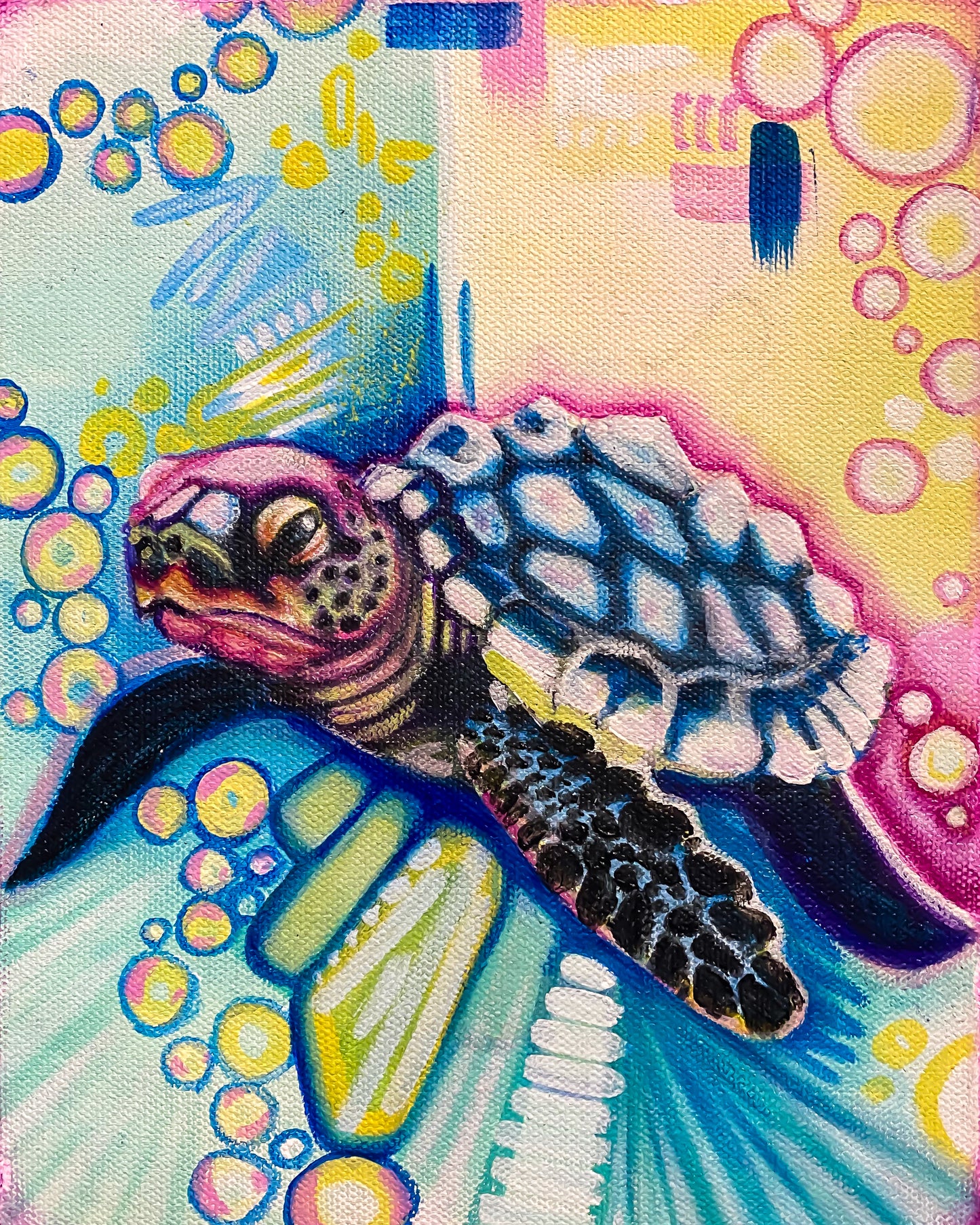 Turtle 5x7 print