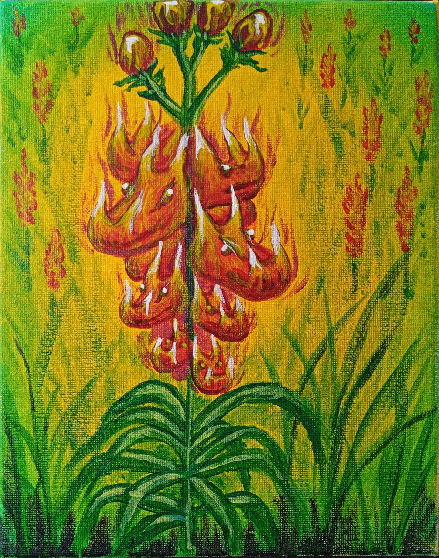 Snapdragons