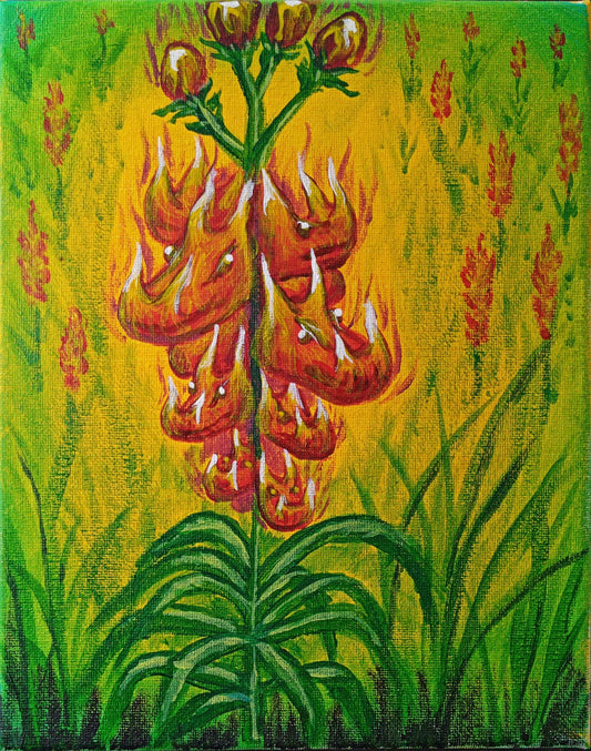 Snapdragons