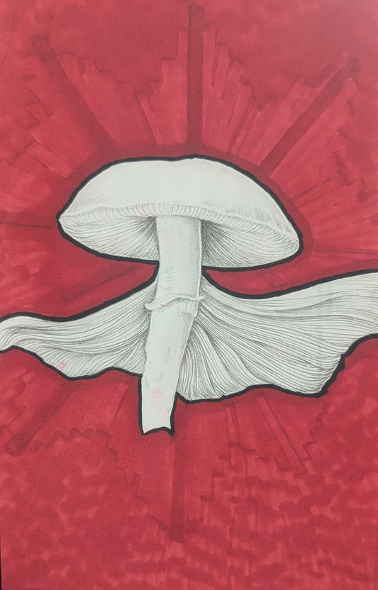 Destroying Angel