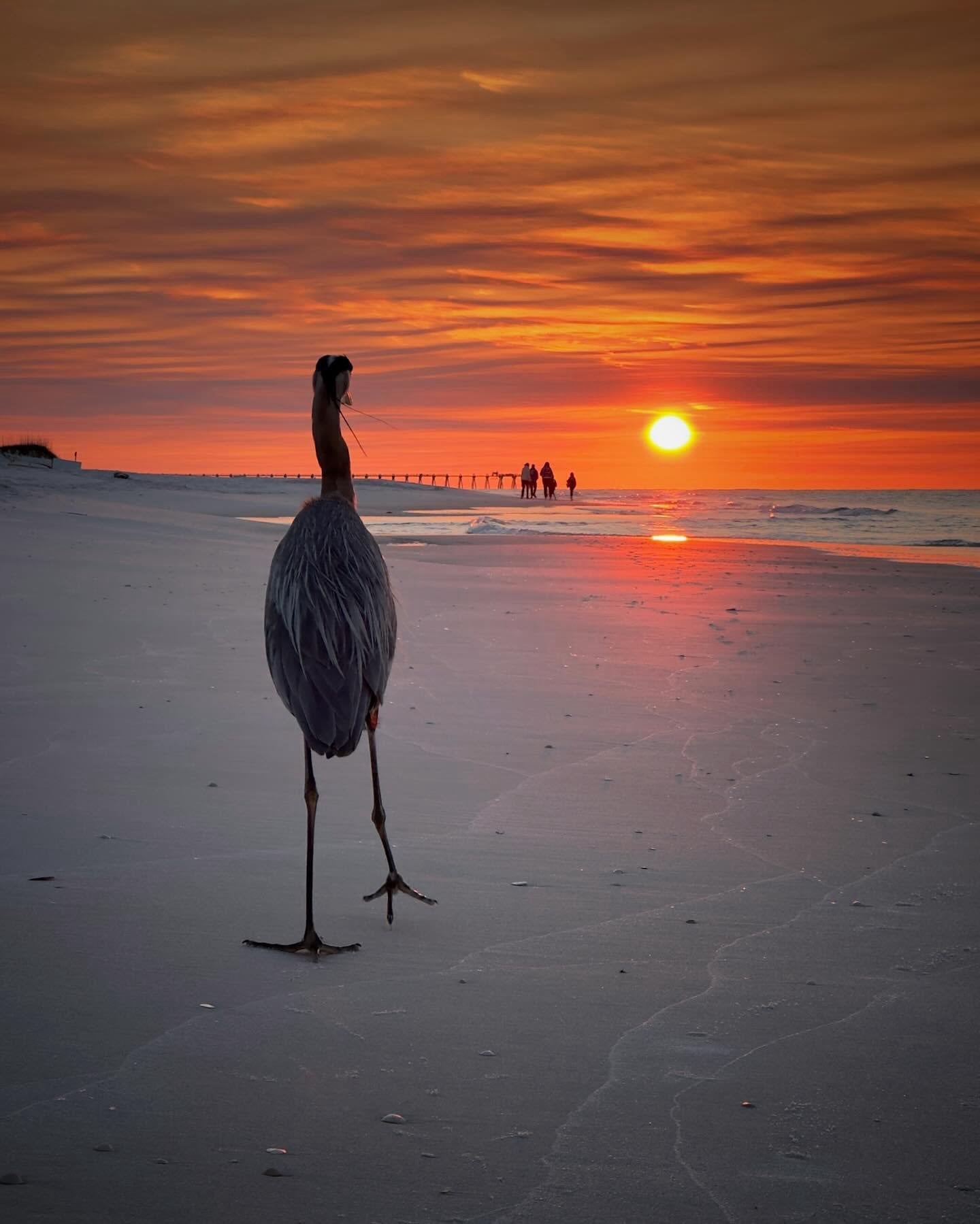 Stepping on the Beach