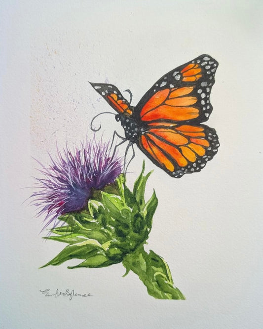 Butterfly on Thistle