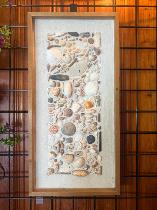 Abundance of Shells