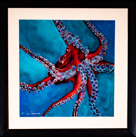 Chicago Cephalopod