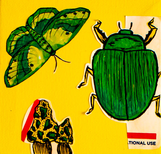 Mycology and Entomology of Graffiti 3