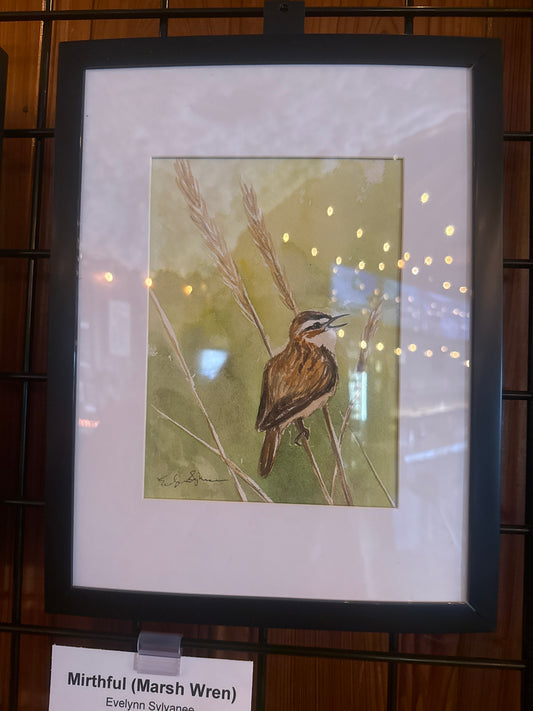 Mirthful (Marsh Wren)