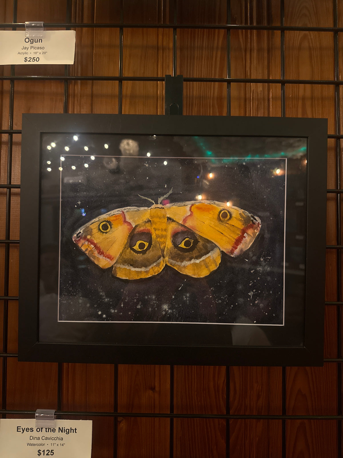 Eyes of the Night