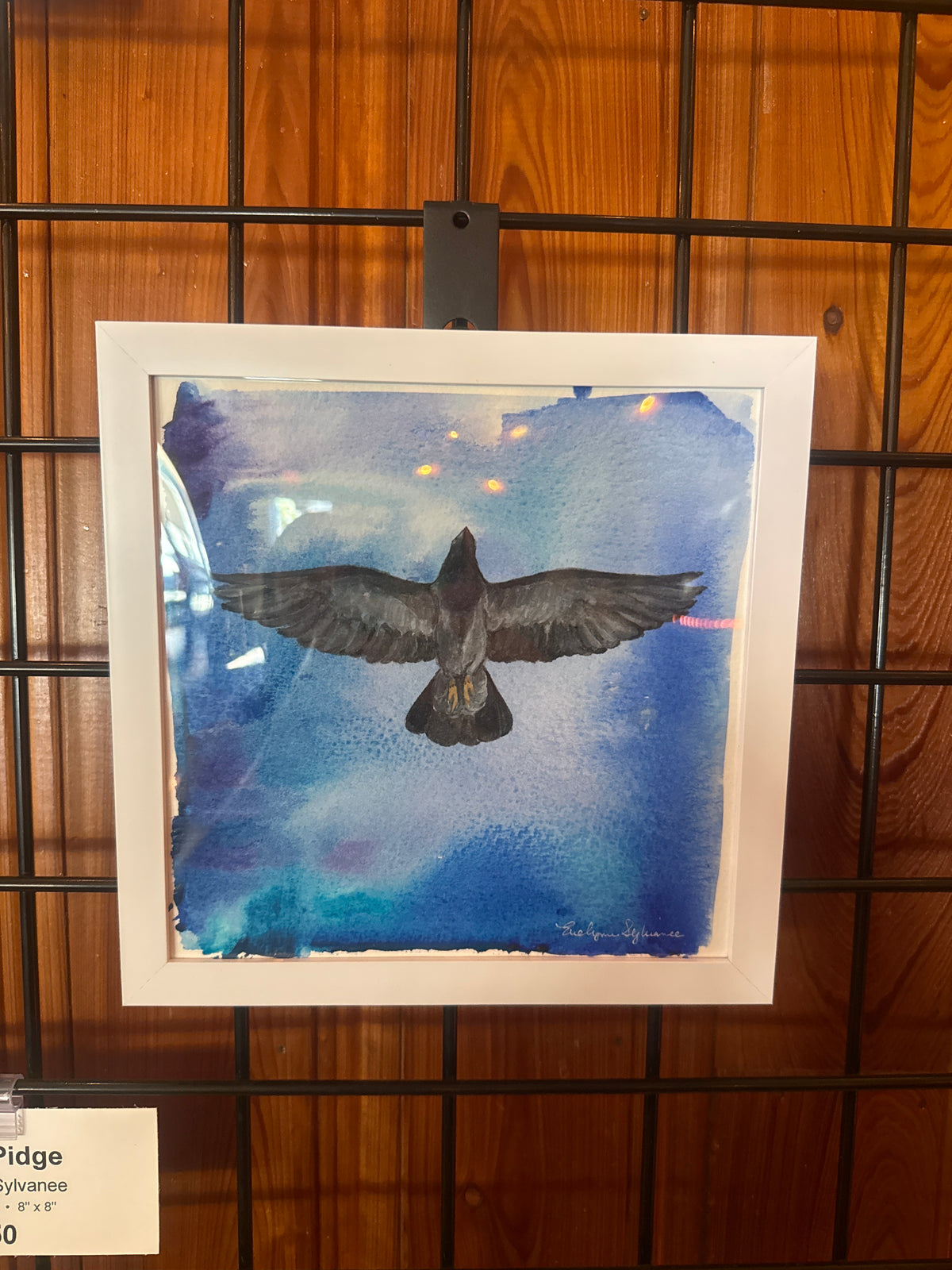 Free Pidge