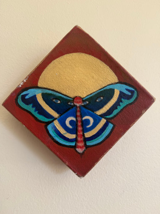 Mini Moons Moth