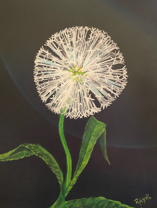 Just Dandy