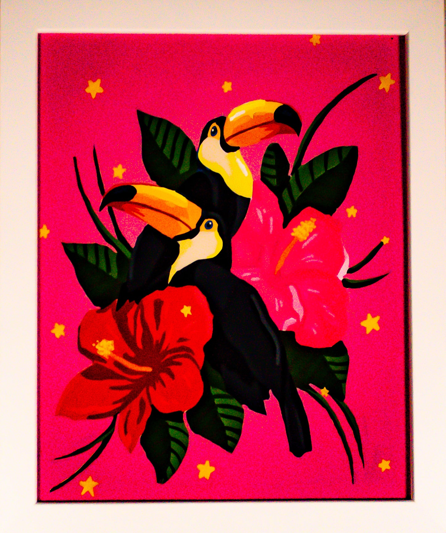 Birds of Paradise