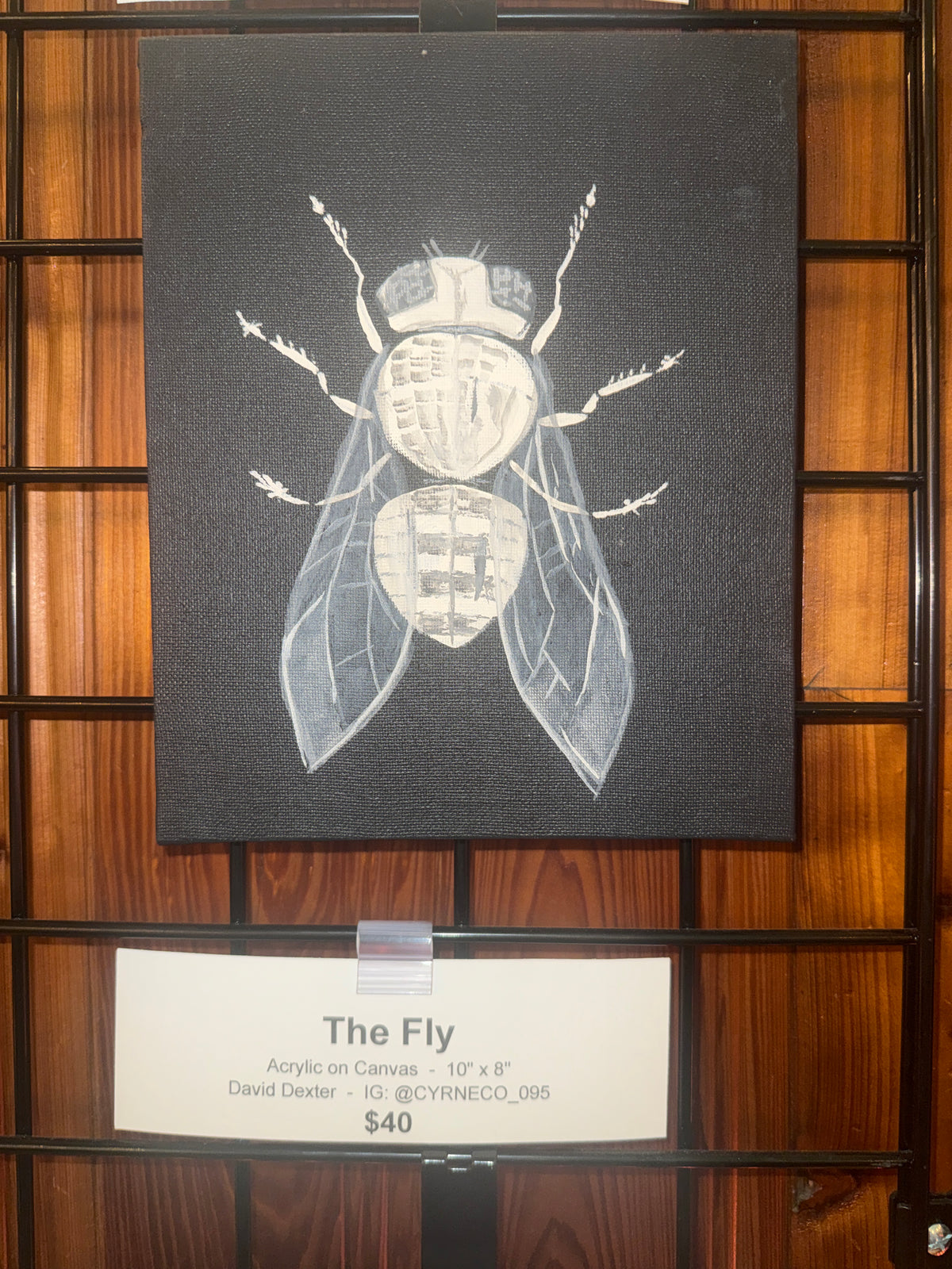 The Fly