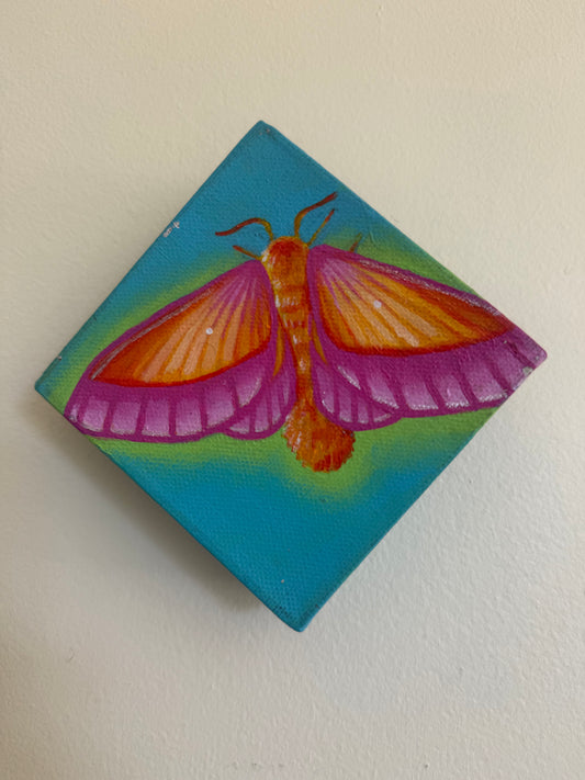 Mini Moth