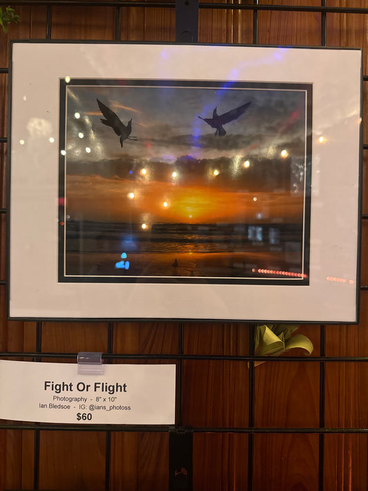 Fight Or Flight