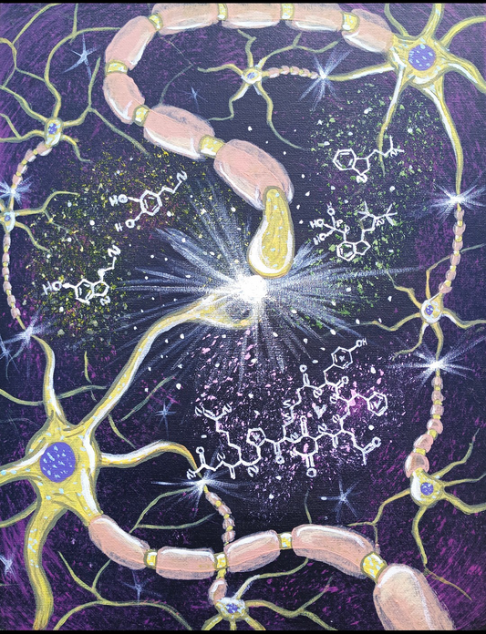 New Synapse