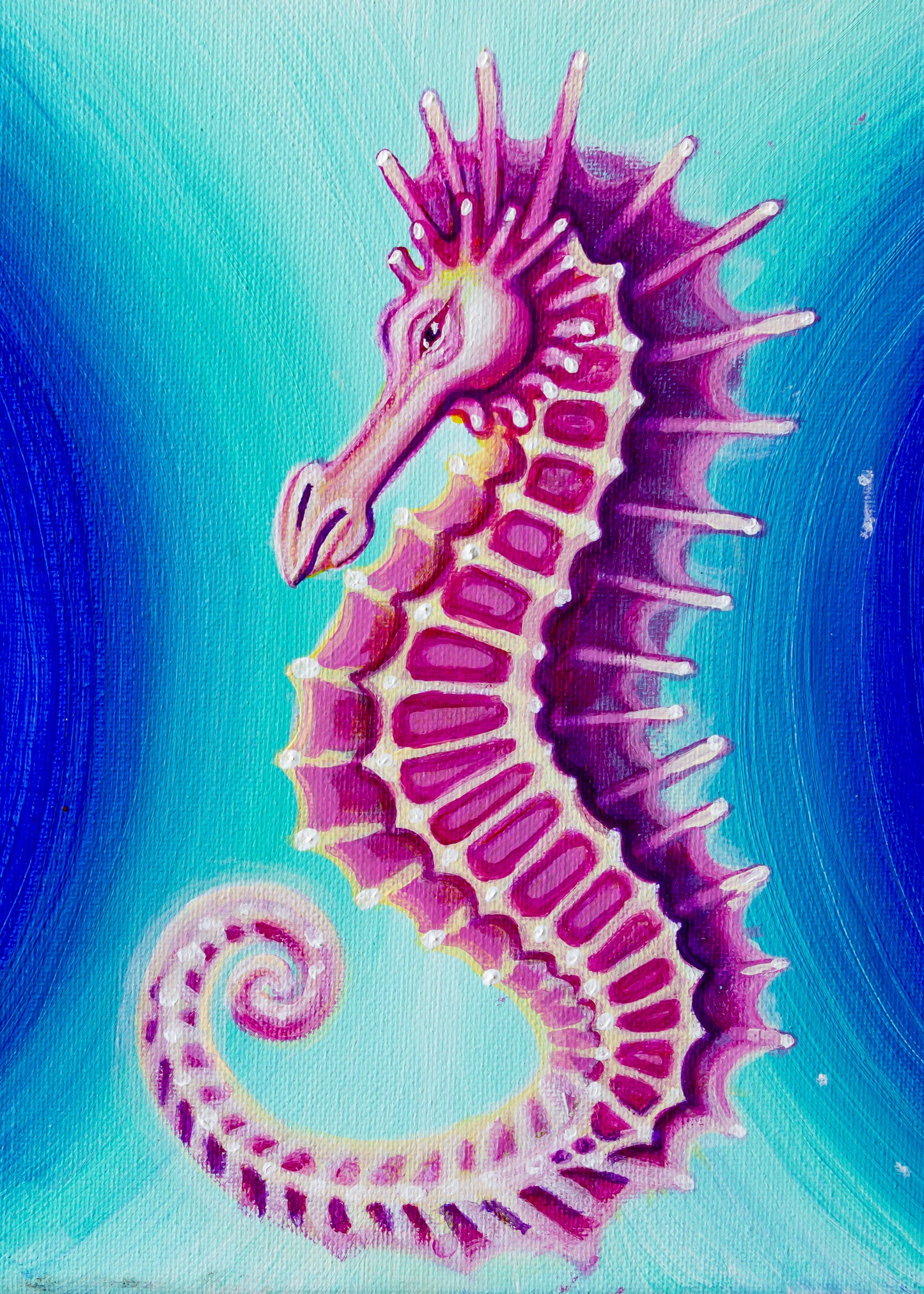 Seahorse 5x7 Print