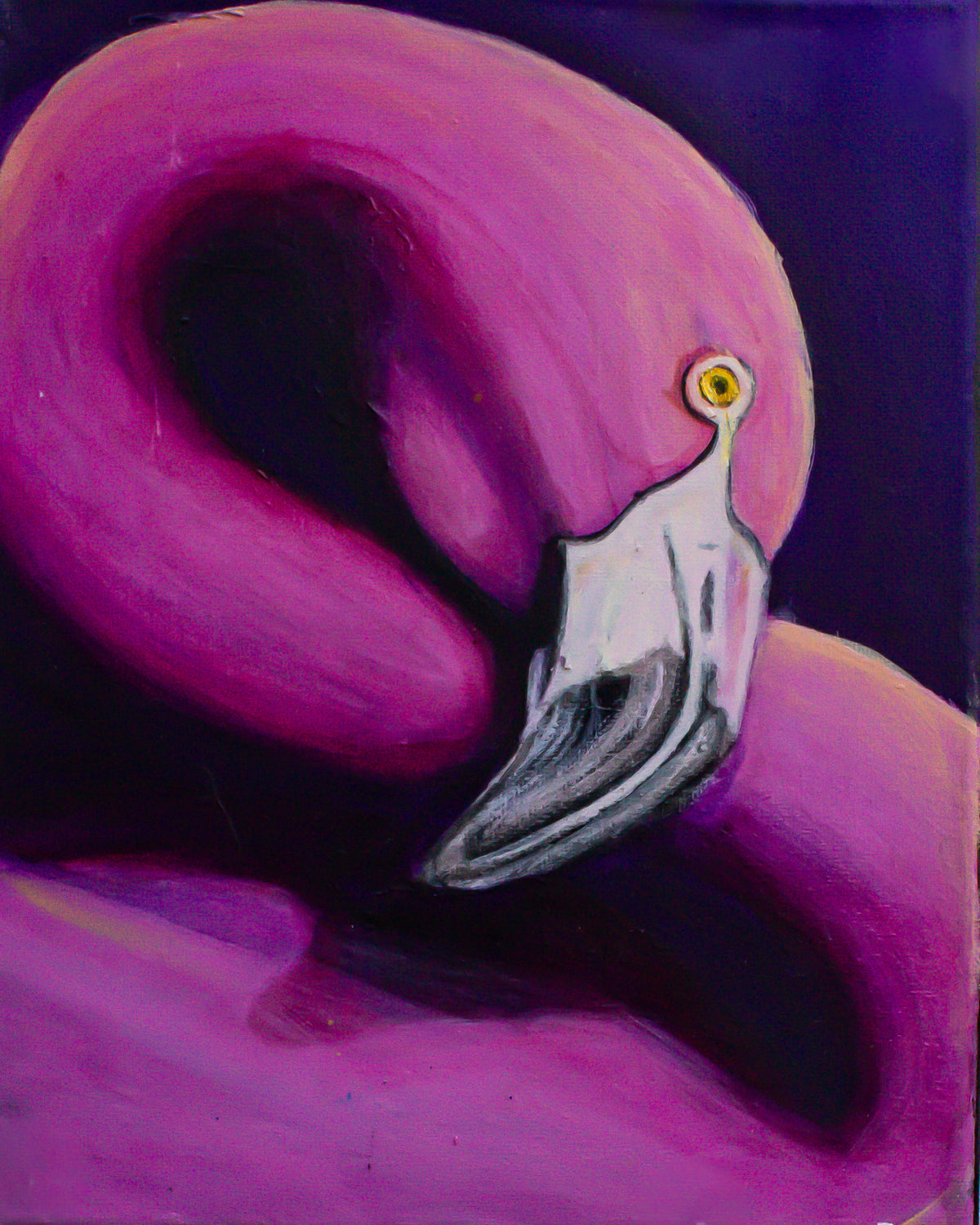 Rosalind - Flamingo