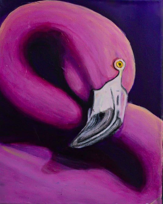 Rosalind - Flamingo