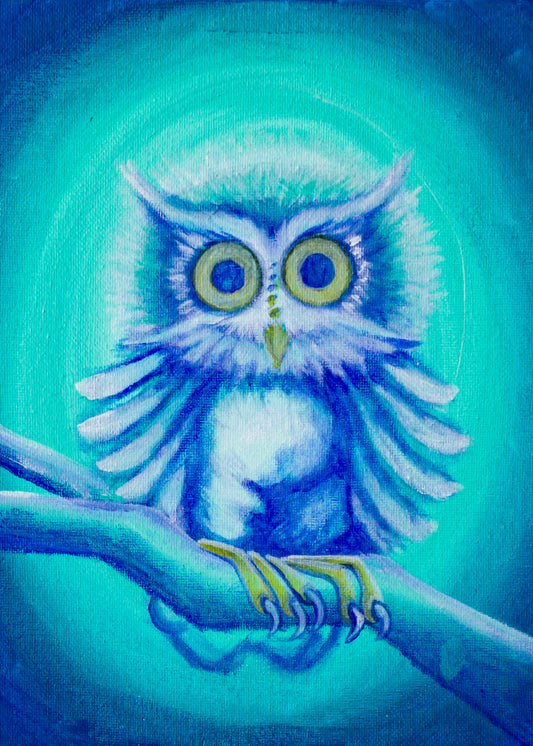 Owl 5x7 Print